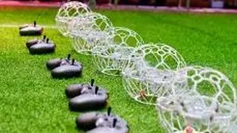 开云体育官网登录入口 资讯 101800 cru