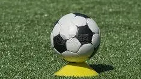 开云体育官网登录入口 资讯 123856 0w8