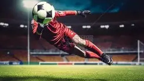 开云体育官网登录入口 资讯 121929 wyo