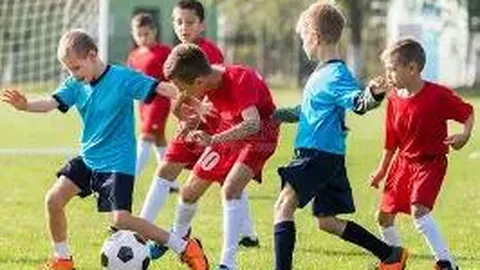 开云体育官网登录入口 产品 095032 obf