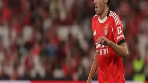 “曼联欧战征程势头猛烈，阿莫林执教策略显奇效”