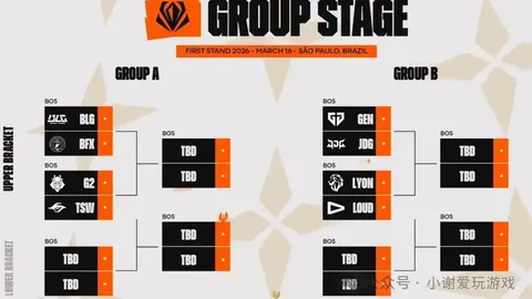 伊马诺尔：决赛边缘荣辱共存