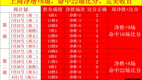 2026里昂体育盛事：齐达内跨界铅球挑战，趣味体育节亮点抢先看